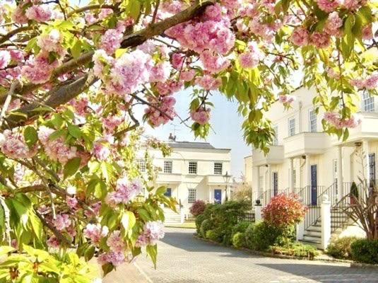 Alloggio in famiglia Beautiful In Gated Community